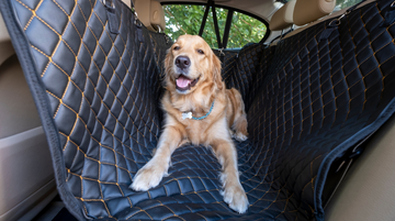 Traveling with Pets: How the Dog Car Protective Rear Seat Keeps Your Car Clean and Your Dog Comfortable